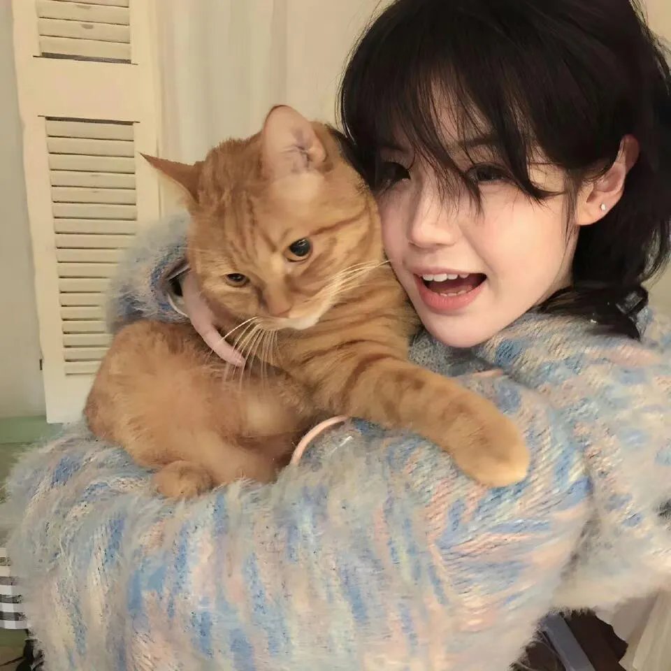 偶像来了